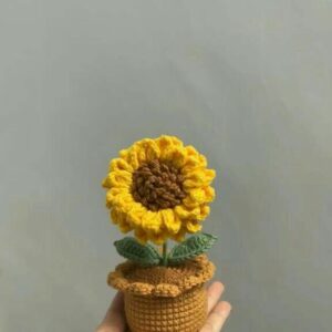 Chậu Hoa Hướng Dương Mini