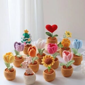 Chậu Cây Len Mini