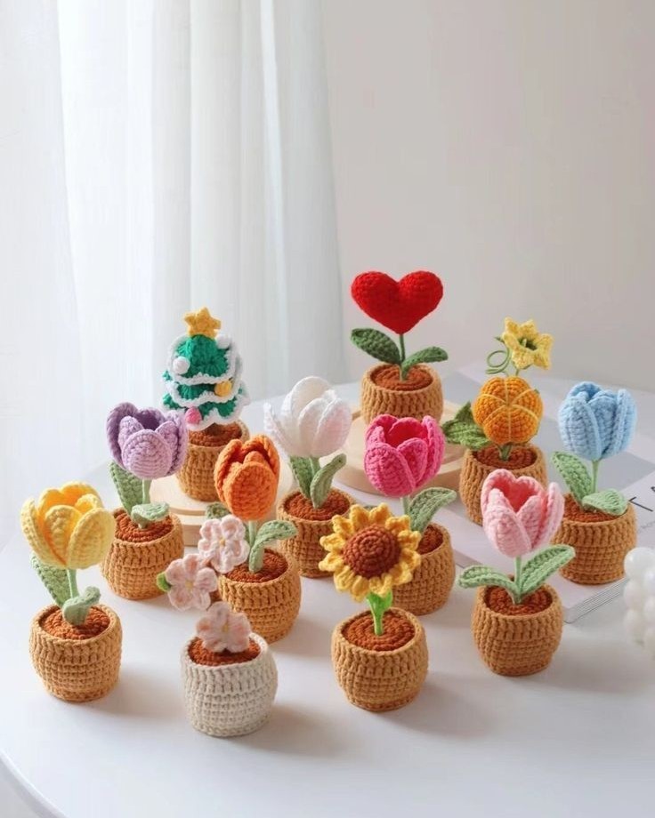 Chậu Cây Len Mini