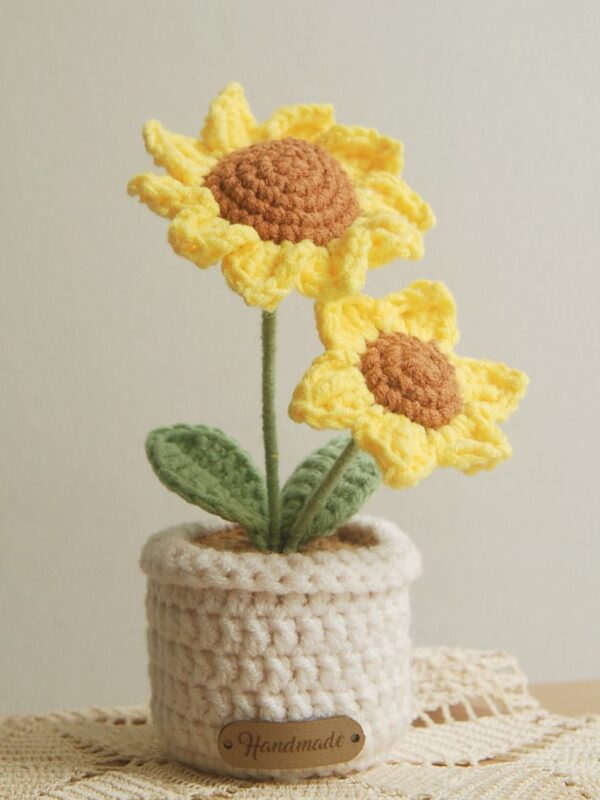 chậu hoa hướng dương 2